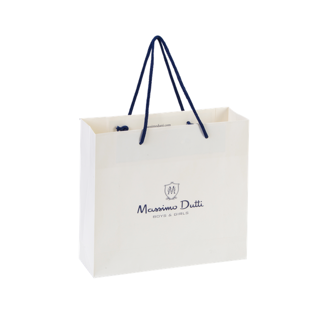 Auto Luxury Paper Bag with PP Handle