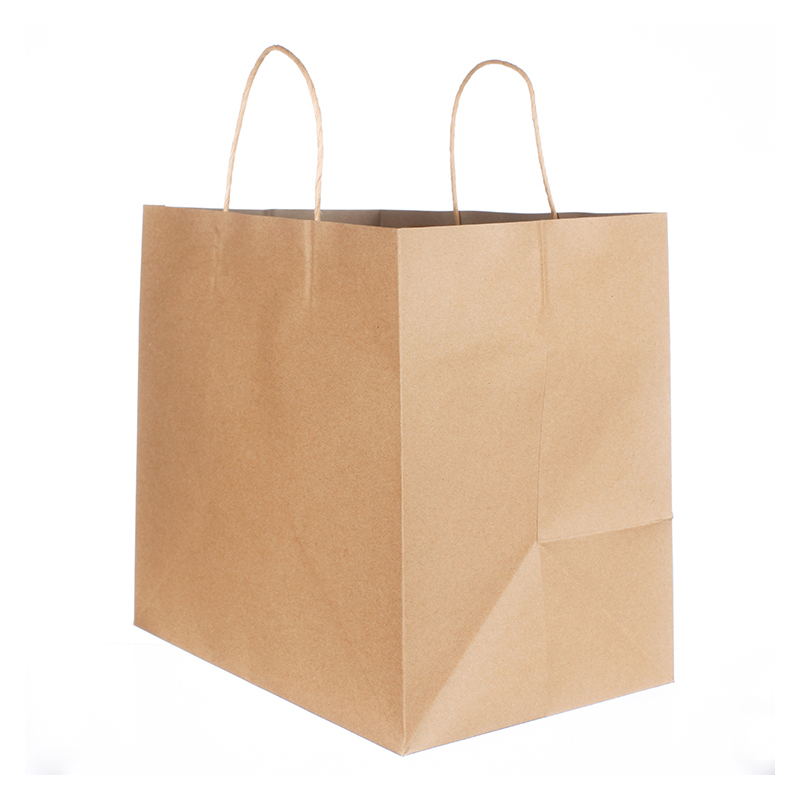 Takeaway Bags with Twist Handle Bags
