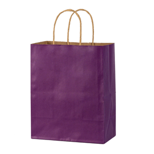 Purple Twist Handle Bags