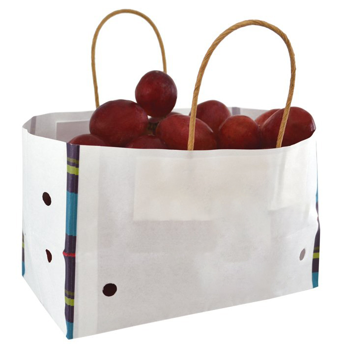 Wet Strength Paper Bags with Ventilation